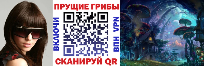 Псилоцибиновые грибы мицелий  Купить закладки  Белгород 